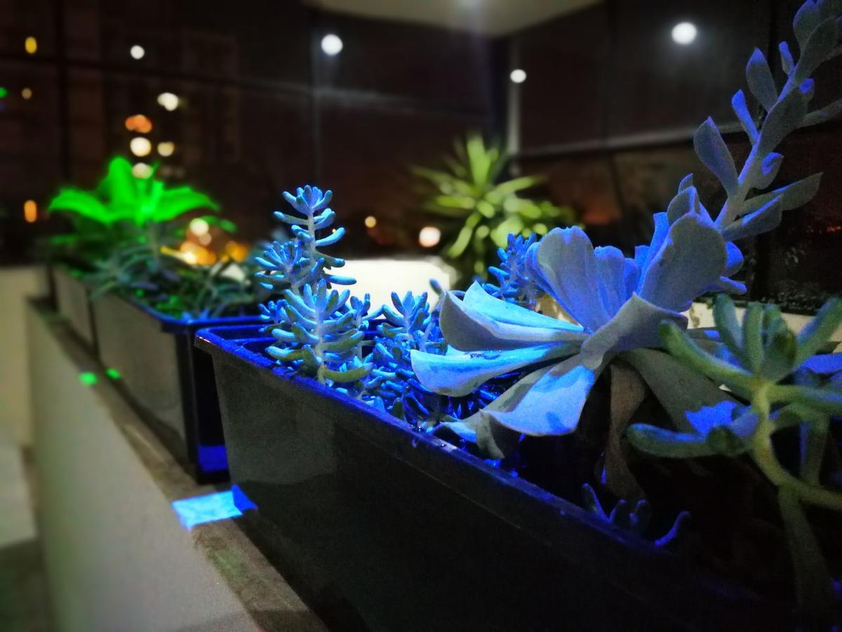 Guest House Jujuy Сан-Сальвадор-де-Жужуй Екстер'єр фото